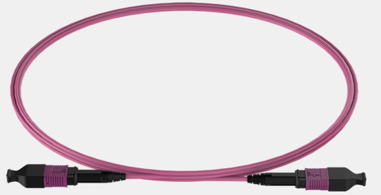 Purple OM4 MPO cable assemblies
